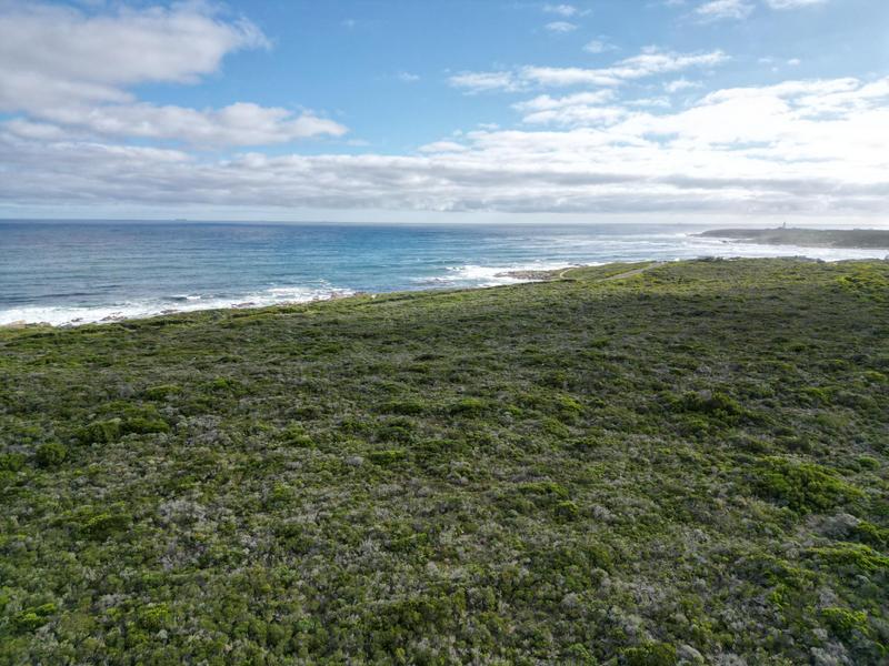0 Bedroom Property for Sale in Birkenhead Western Cape